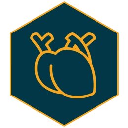 Heart Icon heart