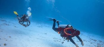 Specialties-Course-Carrusel-2